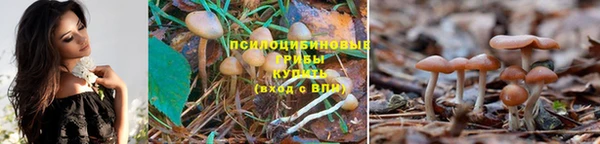 стафф Лихославль