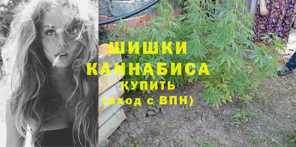 ПСИЛОЦИБИНОВЫЕ ГРИБЫ Липки