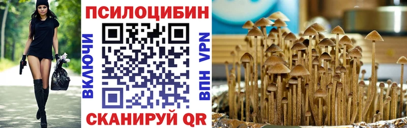 Псилоцибиновые грибы мухоморы цены мориарти какой сайт Суворов ОМГ ОМГ зеркало